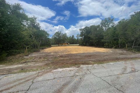 Land in Kissimmee, Florida № 1918647 - photo 9