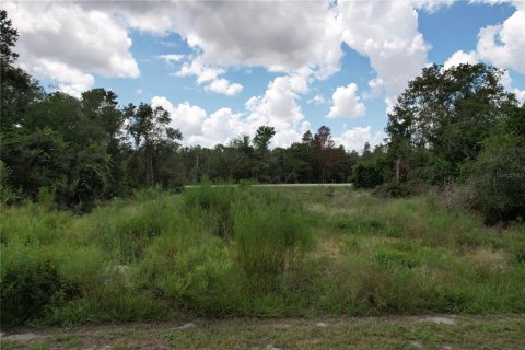 Land in Kissimmee, Florida № 1918647 - photo 1