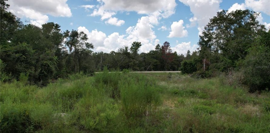 Land in Kissimmee, Florida № 1918647