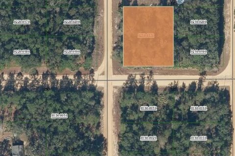 Land in Interlachen, Florida № 2161264