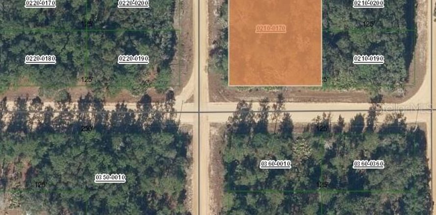 Terreno en Interlachen, Florida № 2161264