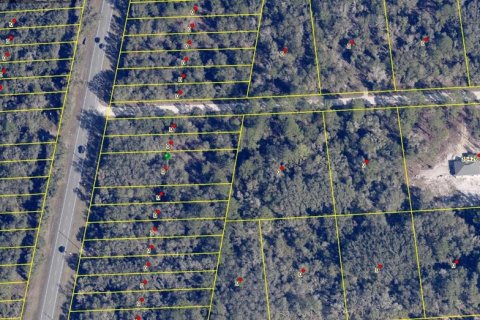 Land in Webster, Florida № 2160156