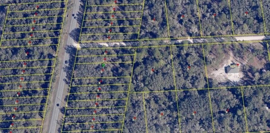 Land in Webster, Florida № 2160156