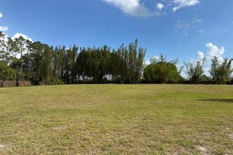 Land in Winter Haven, Florida № 1613164 - photo 8