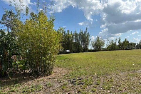 Land in Winter Haven, Florida № 1613164 - photo 6