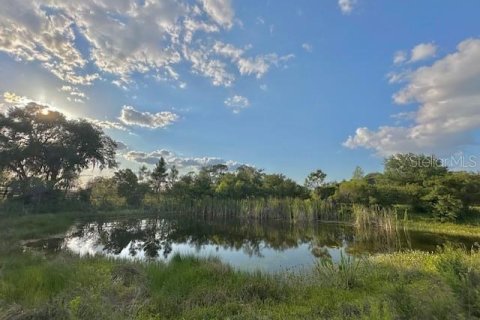 Land in Winter Haven, Florida № 1613164 - photo 15