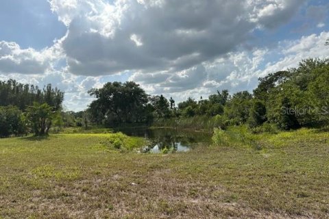 Land in Winter Haven, Florida № 1613164 - photo 9