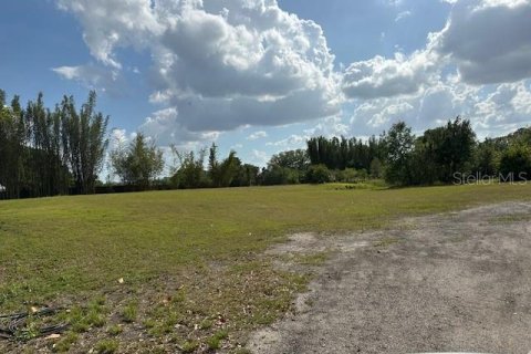 Land in Winter Haven, Florida № 1613164 - photo 7