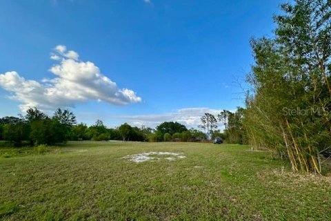 Land in Winter Haven, Florida № 1613164 - photo 13