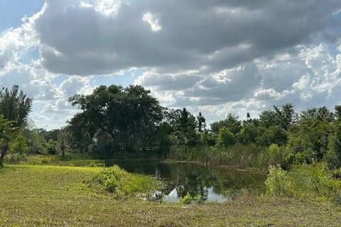 Land in Winter Haven, Florida № 1613164 - photo 10