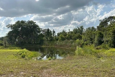 Land in Winter Haven, Florida № 1613164 - photo 11