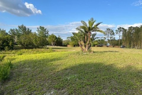 Land in Winter Haven, Florida № 1613164 - photo 14