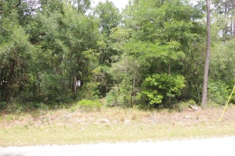 Land in Williston, Florida № 2161526 - photo 6