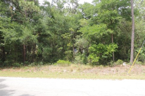 Land in Williston, Florida № 2161526