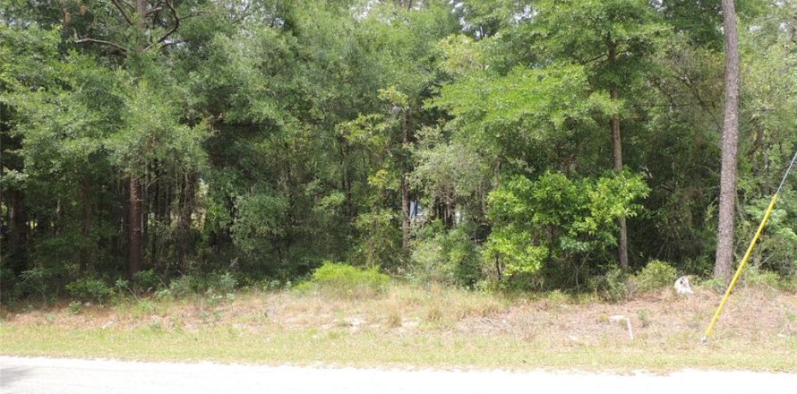 Land in Williston, Florida № 2161526