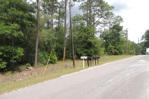 Land in Williston, Florida № 2161526 - photo 5