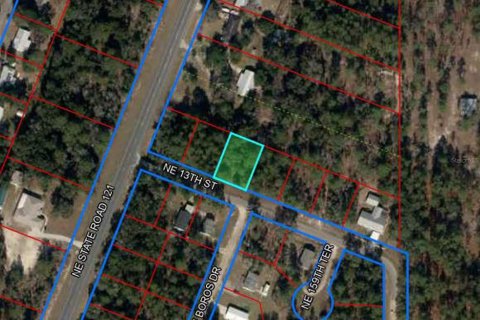 Land in Williston, Florida № 2161526 - photo 2