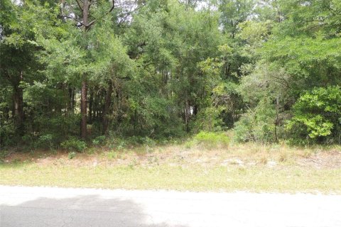 Land in Williston, Florida № 2161526 - photo 4