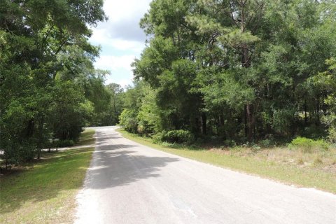 Land in Williston, Florida № 2161526 - photo 3