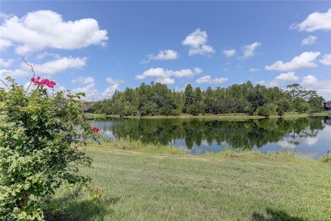 Villa ou maison à vendre à Lutz, Floride: 6 chambres, 524.9 m2 № 2223488 - photo 13