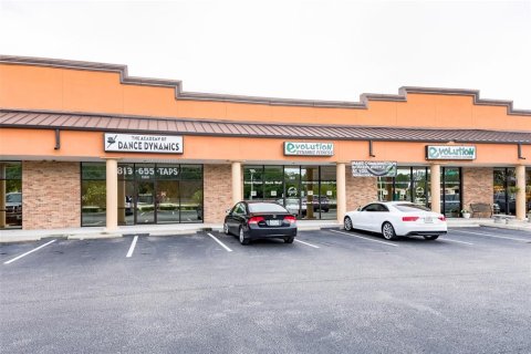 Propiedad comercial en alquiler en Valrico, Florida, 3219.06 m2 № 1512402 - foto 3