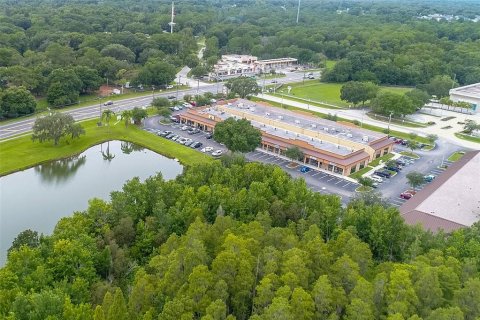 Propiedad comercial en alquiler en Valrico, Florida, 3219.06 m2 № 1512402 - foto 30