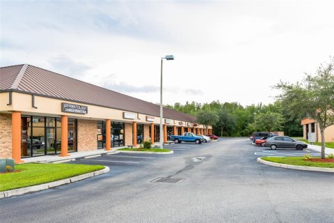Propiedad comercial en alquiler en Valrico, Florida, 3219.06 m2 № 1512402 - foto 12