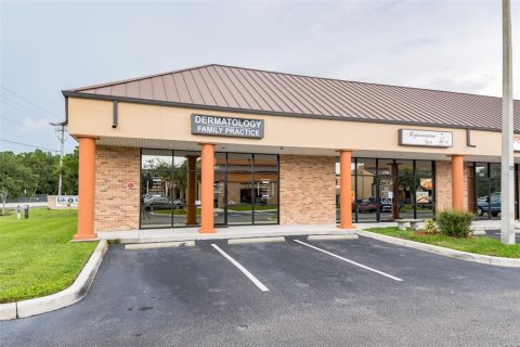 Propiedad comercial en alquiler en Valrico, Florida, 3219.06 m2 № 1512402 - foto 13