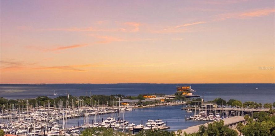 Condo in Saint Petersburg, Florida, 2 bedrooms № 2310398