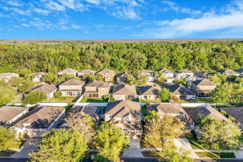 Casa en venta en Tampa, Florida, 5 dormitorios, 317.35 m2 № 1571574 - foto 5