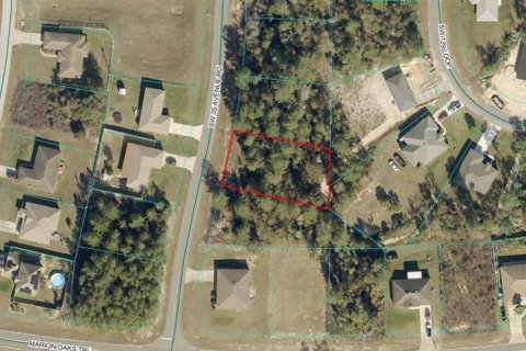 Land in Ocala, Florida № 2258516 - photo 2