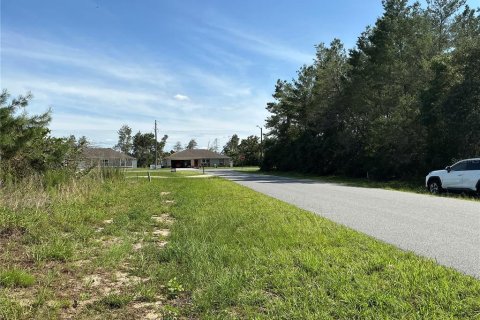 Land in Ocala, Florida № 2258516 - photo 5