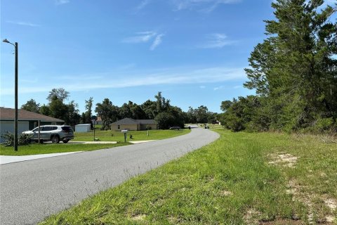 Land in Ocala, Florida № 2258516 - photo 6