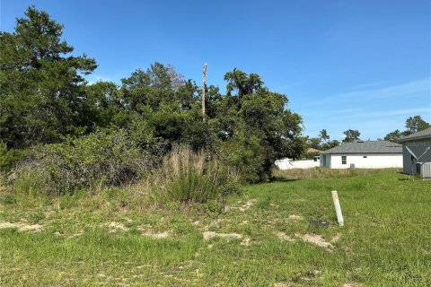 Land in Ocala, Florida № 2258516 - photo 4