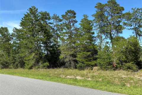 Land in Ocala, Florida № 2258516 - photo 3