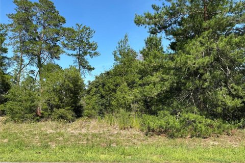 Land in Ocala, Florida № 2258516