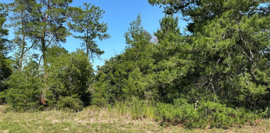 Land in Ocala, Florida № 2258516