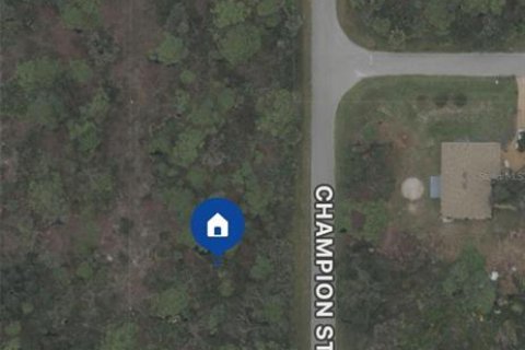Land in Port Charlotte, Florida № 2165112 - photo 4