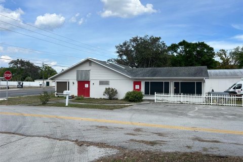 Propiedad comercial en venta en Leesburg, Florida, 221.01 m2 № 1597724 - foto 4