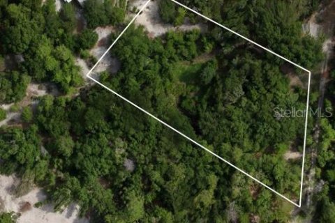 Land in Pomona Park, Florida № 2221212