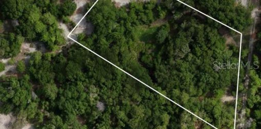 Terrain à Pomona Park, Floride № 2221212