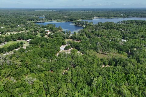 Terrain à vendre à Pomona Park, Floride № 2221212 - photo 4