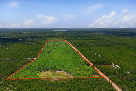 Terrain à vendre à Eustis, Floride № 2239131 - photo 6