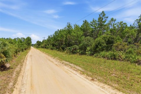 Terrain à vendre à Eustis, Floride № 2239131 - photo 4