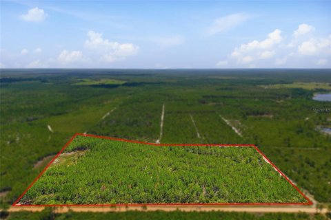 Terrain à Eustis, Floride № 2239131