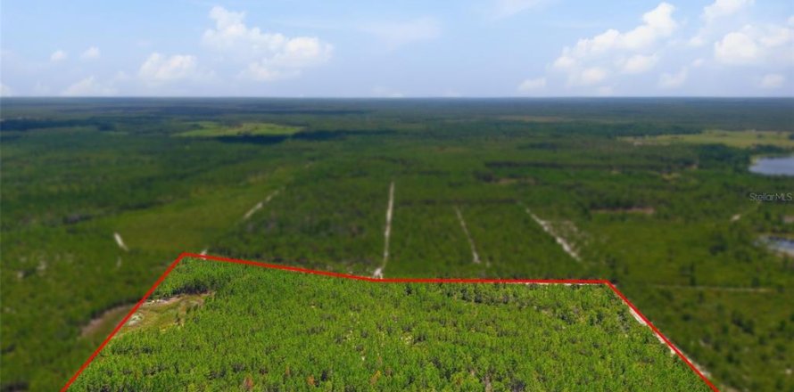 Terrain à Eustis, Floride № 2239131