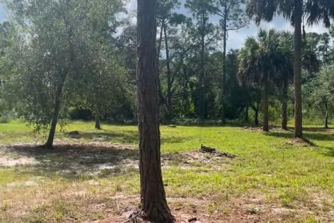 Land in Clewiston, Florida № 1565776 - photo 6