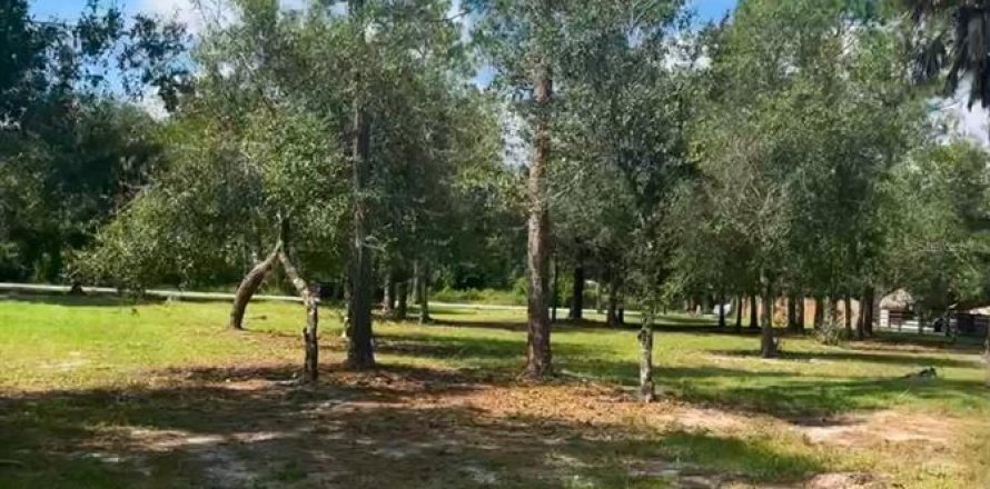Land in Clewiston, Florida № 1565776