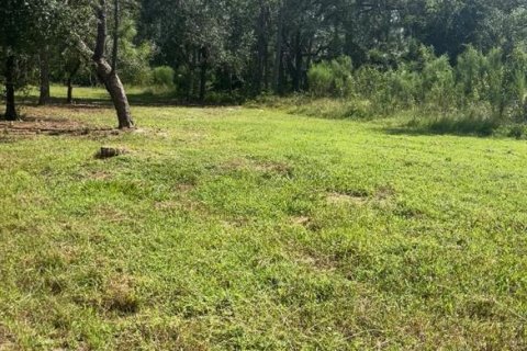 Land in Clewiston, Florida № 1565776 - photo 2