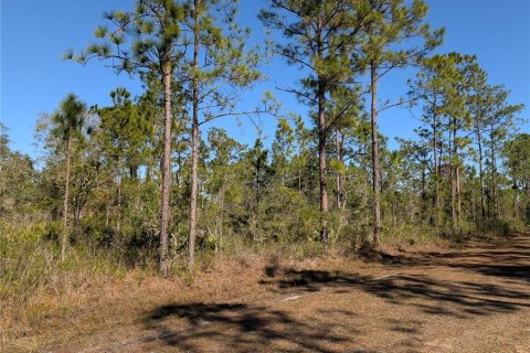 Land in Indian lake estates, Florida № 2163139
